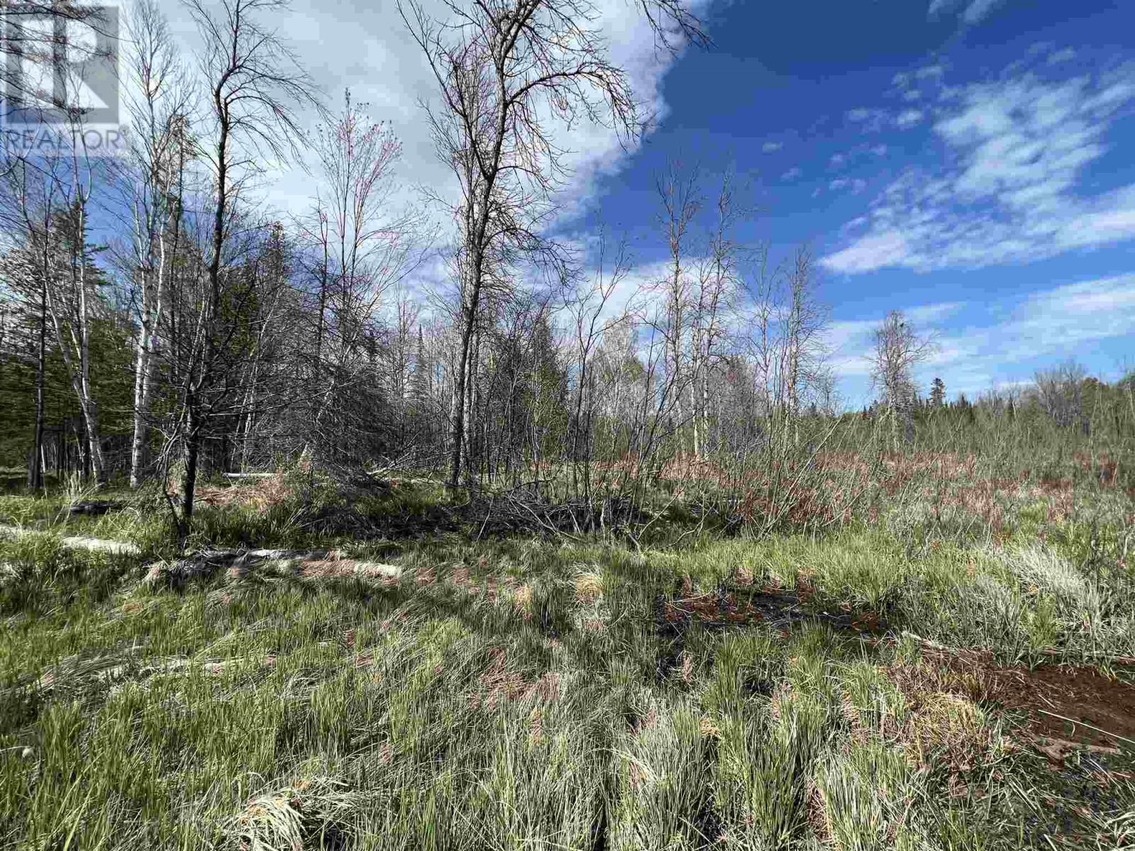 4957 Gordon Rd, Jocelyn Township, Ontario  P0R 1G0 - Photo 6 - SM252655
