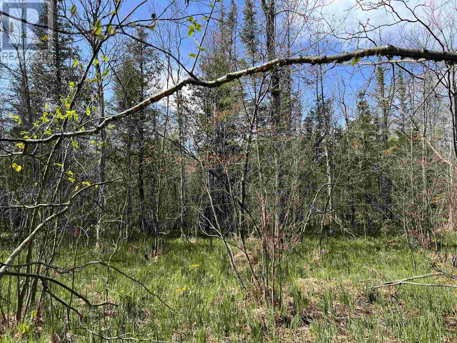 4957 Gordon Rd, Jocelyn Township, Ontario  P0R 1G0 - Photo 7 - SM252655