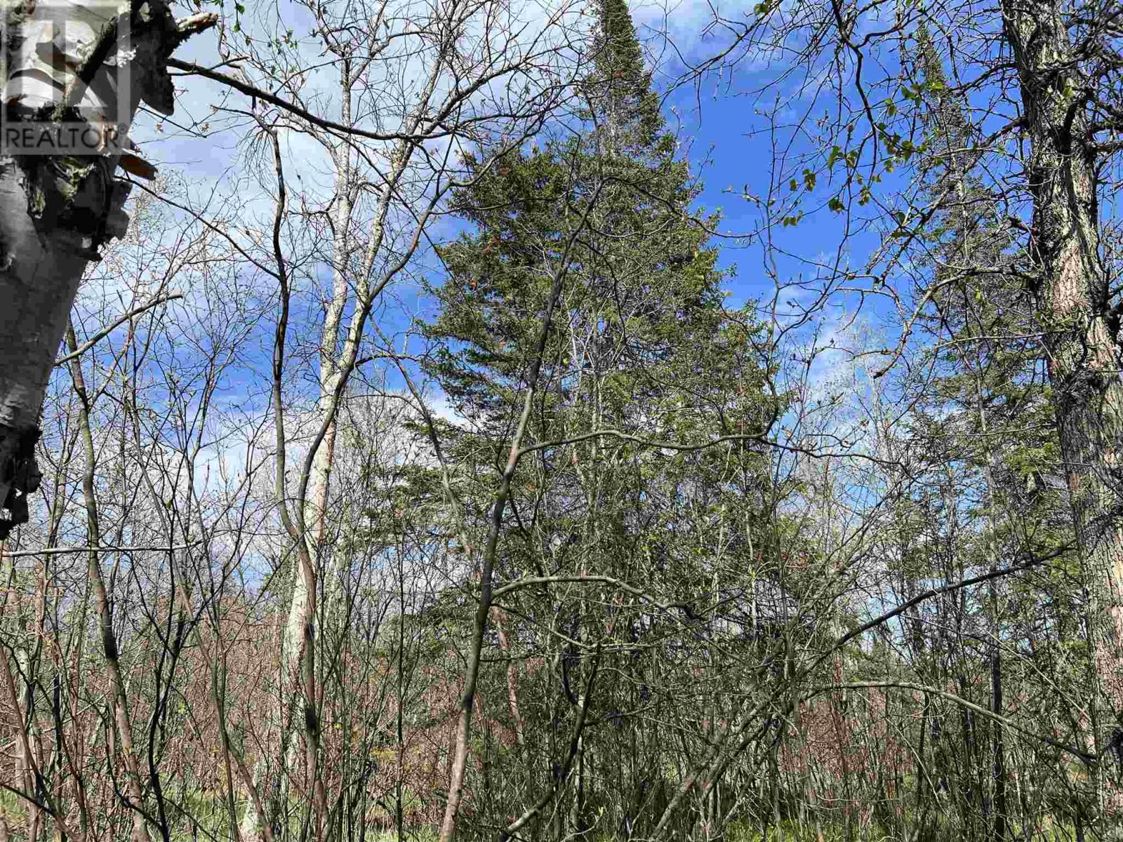 4957 Gordon Rd, Jocelyn Township, Ontario  P0R 1G0 - Photo 9 - SM252655