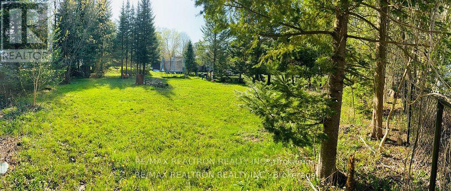 2439 Wallace Avenue, Innisfil, Ontario  L9S 2G5 - Photo 6 - N12407843