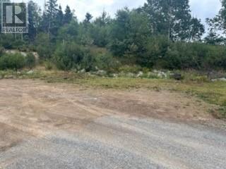477a Main Street N, Glovertown, Newfoundland & Labrador  A0G 2L0 - Photo 46 - 1287473