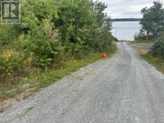 477a Main Street N, Glovertown, Newfoundland & Labrador  A0G 2L0 - Photo 48 - 1287473