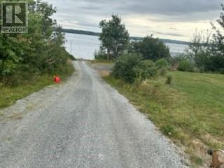 477a Main Street N, Glovertown, Newfoundland & Labrador  A0G 2L0 - Photo 47 - 1287473