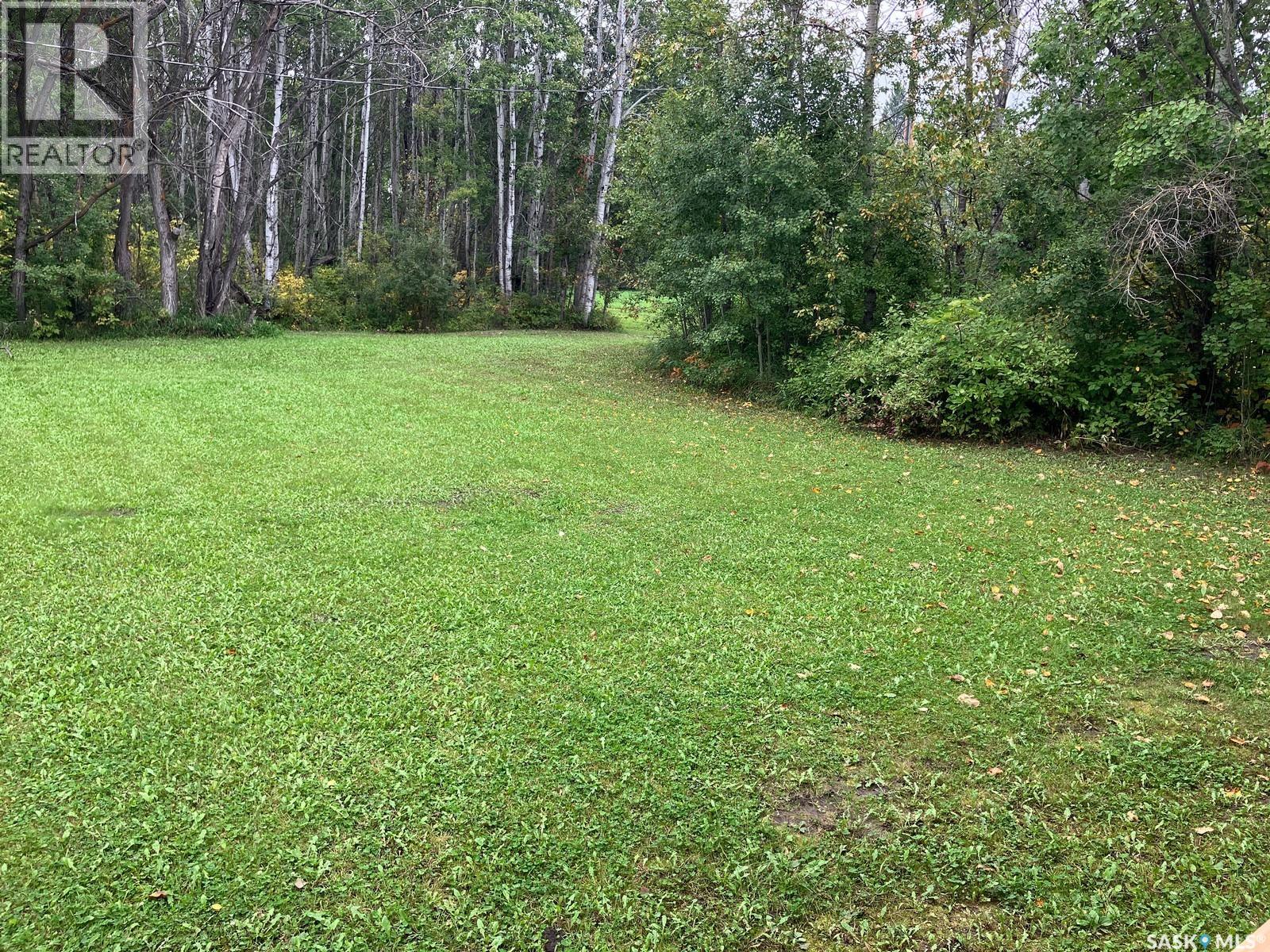 303 1st Avenue N, Torch River Rm No. 488, Saskatchewan  S0J 0Z0 - Photo 37 - SK018549
