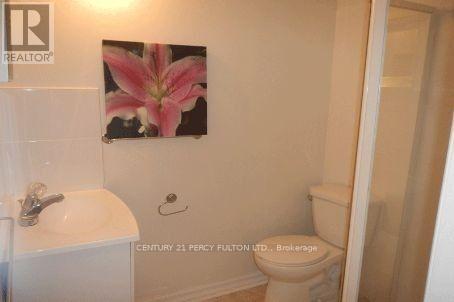 65 Aldonschool Court, Ajax, Ontario  L1S 0C5 - Photo 39 - E12358580