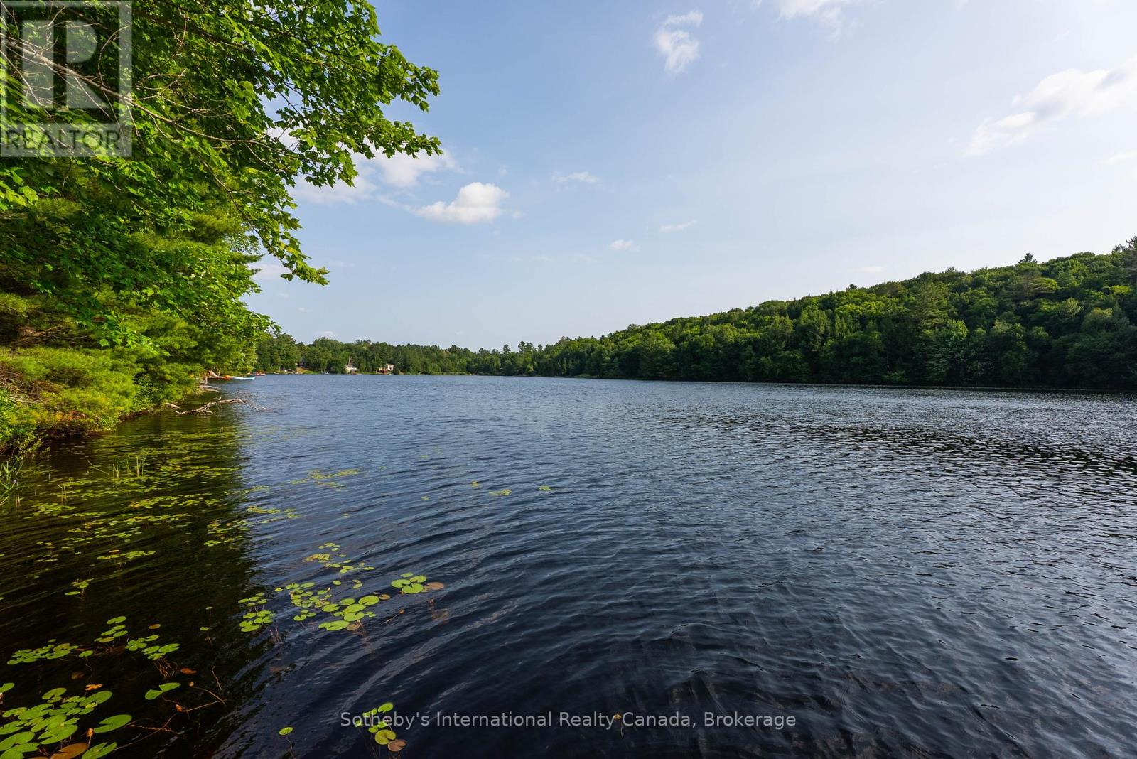 176 Ripple & Palette Lake Road, Huntsville, Ontario  P1H 2J4 - Photo 41 - X12408114