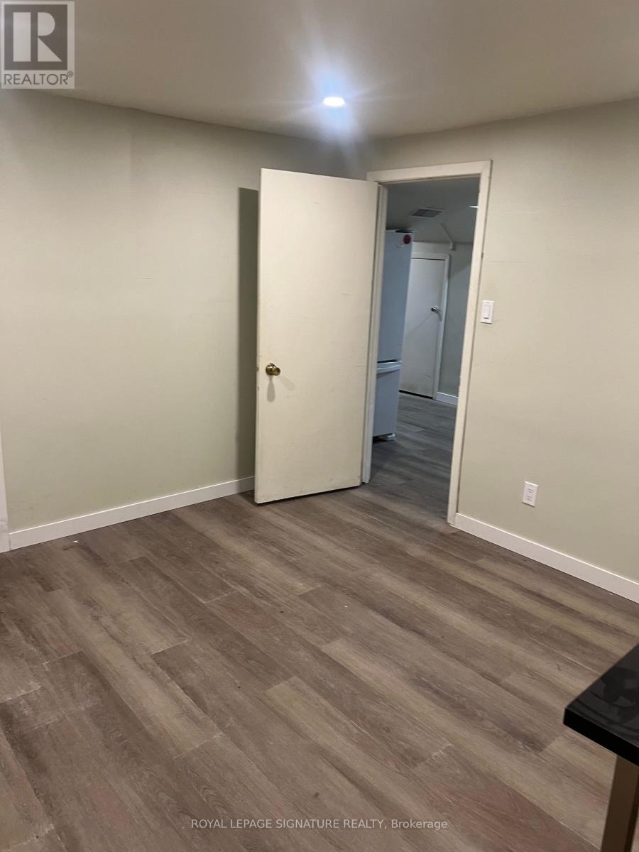Lower - 30 West Street, East Gwillimbury, Ontario  L9N 1L4 - Photo 10 - N12408124