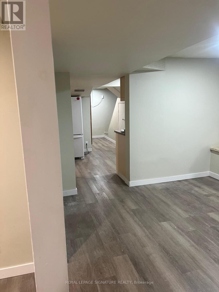 Lower - 30 West Street, East Gwillimbury, Ontario  L9N 1L4 - Photo 3 - N12408124