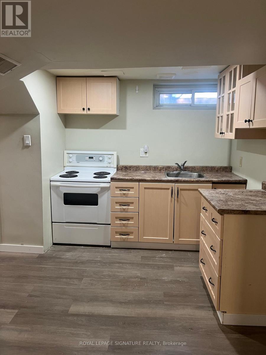 Lower - 30 West Street, East Gwillimbury, Ontario  L9N 1L4 - Photo 5 - N12408124