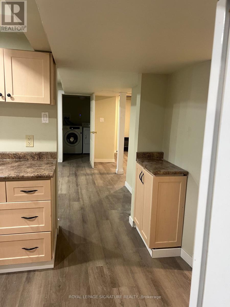 Lower - 30 West Street, East Gwillimbury, Ontario  L9N 1L4 - Photo 6 - N12408124