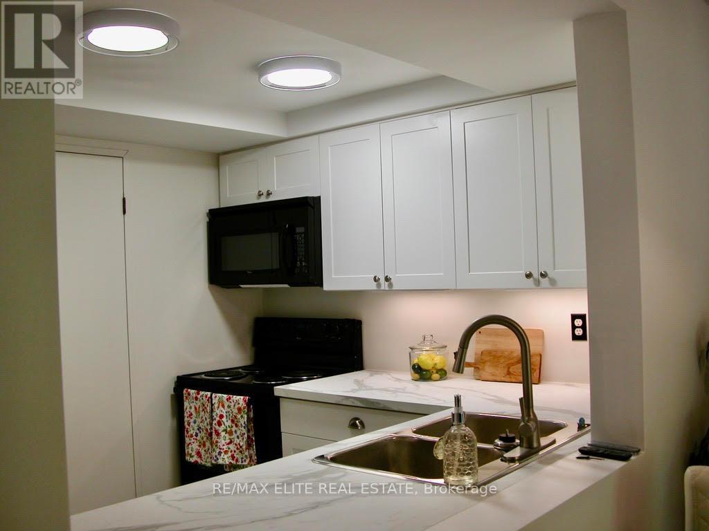 323 - 65 Scadding Avenue, Toronto (Waterfront Communities), Ontario  M5A 4L1 - Photo 9 - C12408249