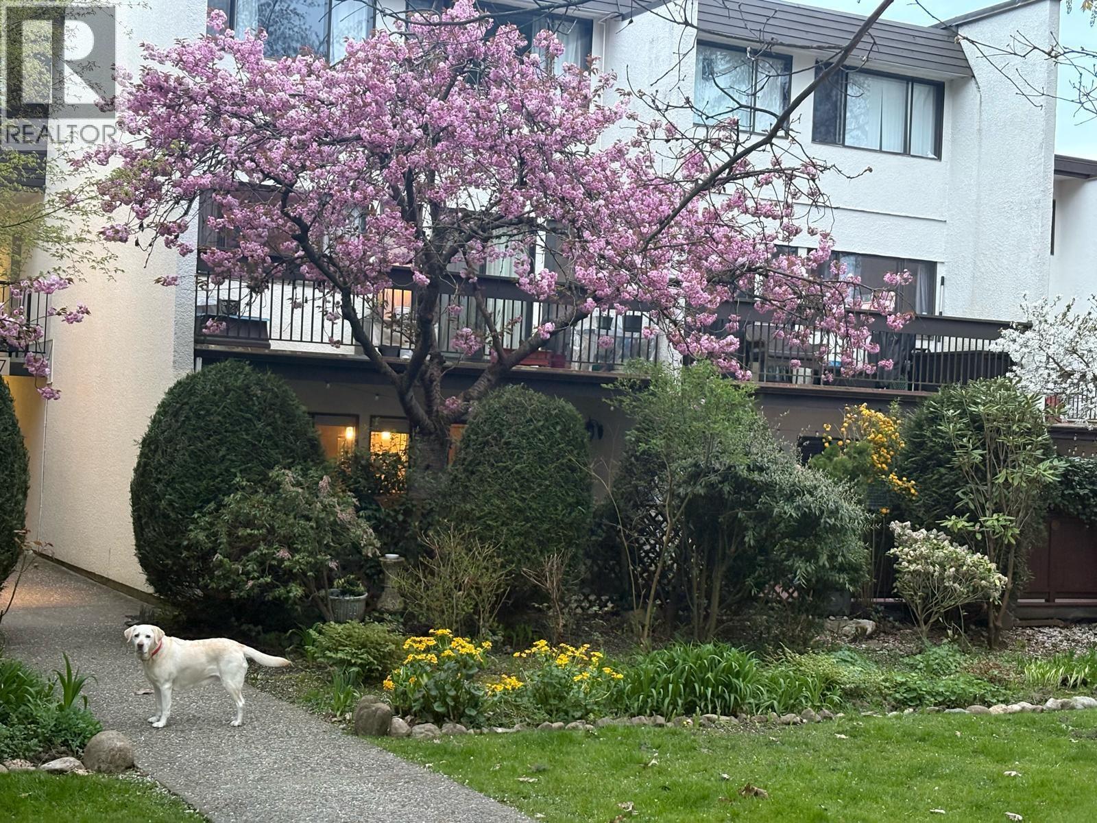 2 7307 Montecito Drive, Burnaby, British Columbia  V5A 1R2 - Photo 35 - R3047816