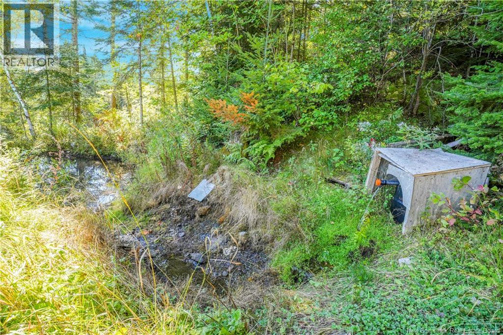 136 Nashwaak West Road, Nashwaak Bridge, New Brunswick  E6C 2A6 - Photo 31 - NB126804