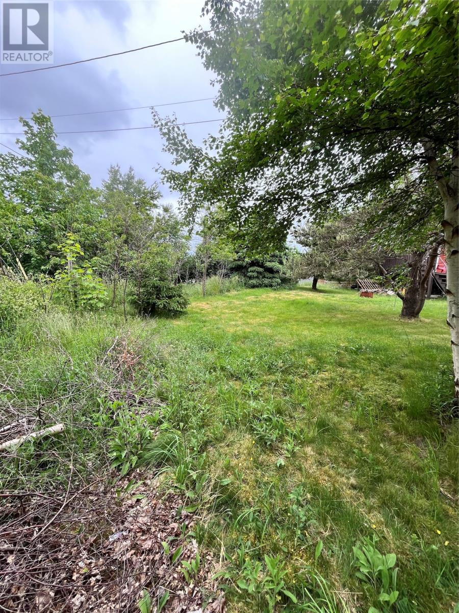 19-21 Cabot Road, Conception Bay South, Newfoundland & Labrador  A1W 4C5 - Photo 15 - 1287244