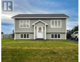 53 Harnum's Hill, Whiteway, Newfoundland & Labrador