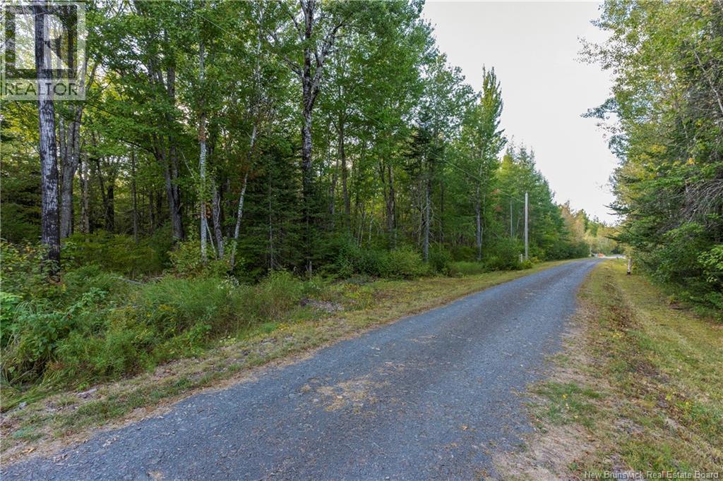 553 Salem Road, Havelock, New Brunswick  E4Z 5R9 - Photo 47 - NB126740