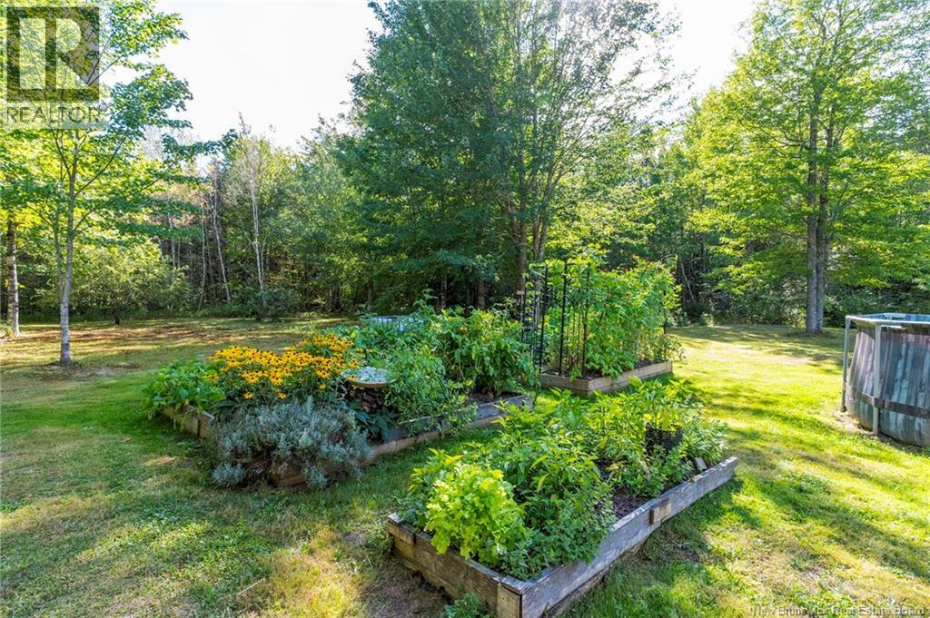 553 Salem Road, Havelock, New Brunswick  E4Z 5R9 - Photo 8 - NB126740