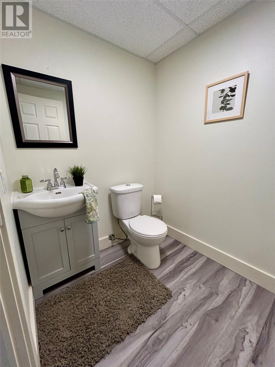 23 Hanlon Drive, Massey Drive, Newfoundland & Labrador  A2H 0A2 - Photo 44 - 1290468