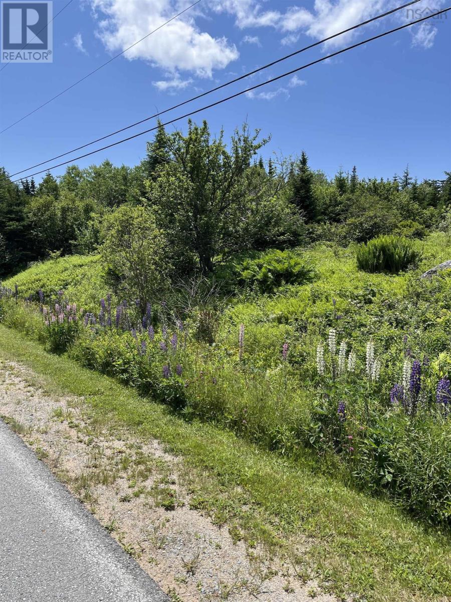 2584 West Ship Harbour Road, Owls Head Harbour, Nova Scotia  B3J 3A5 - Photo 5 - 202516217