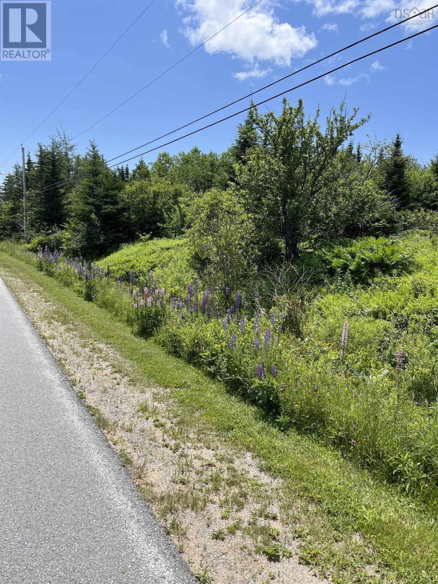 2584 West Ship Harbour Road, Owls Head Harbour, Nova Scotia  B3J 3A5 - Photo 6 - 202516217