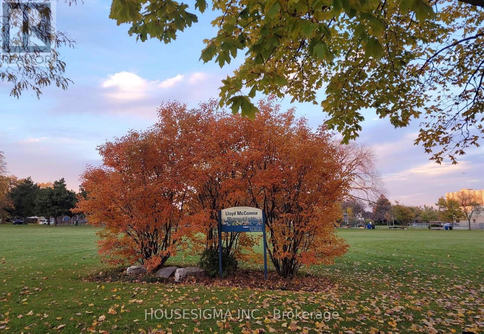 72 Ludstone Drive, Toronto (Willowridge-Martingrove-Richview), Ontario  M9R 2J3 - Photo 42 - W12384614