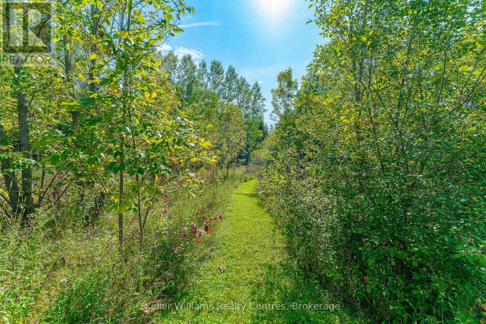 210194 Burgess Side Road, Georgian Bluffs, Ontario  N0H 1S0 - Photo 42 - X12408493