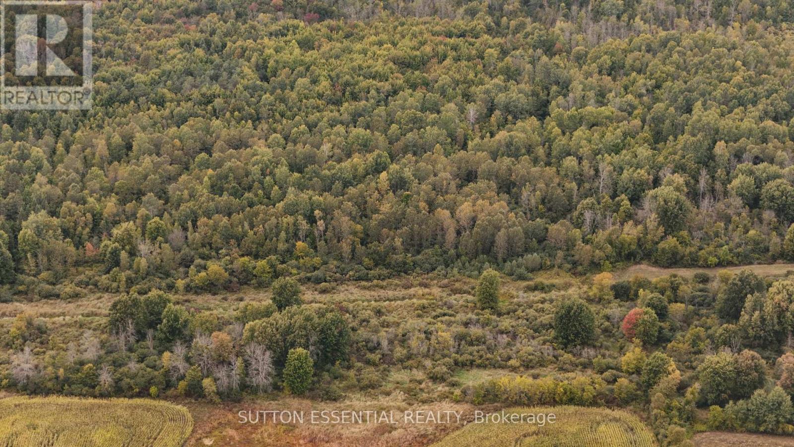 4997 Spicer Road, Elizabethtown-Kitley, Ontario  K6V 5T5 - Photo 47 - X12408497