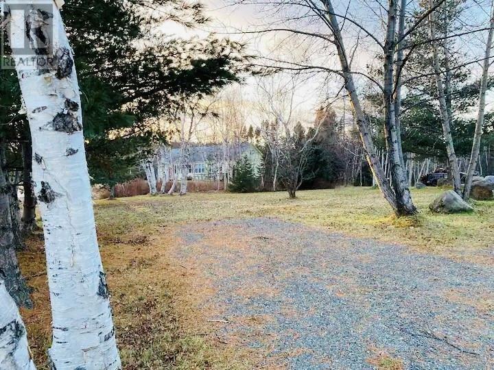 56 Loop Road, Terra Nova, Newfoundland & Labrador  A0C 1L0 - Photo 35 - 1290560