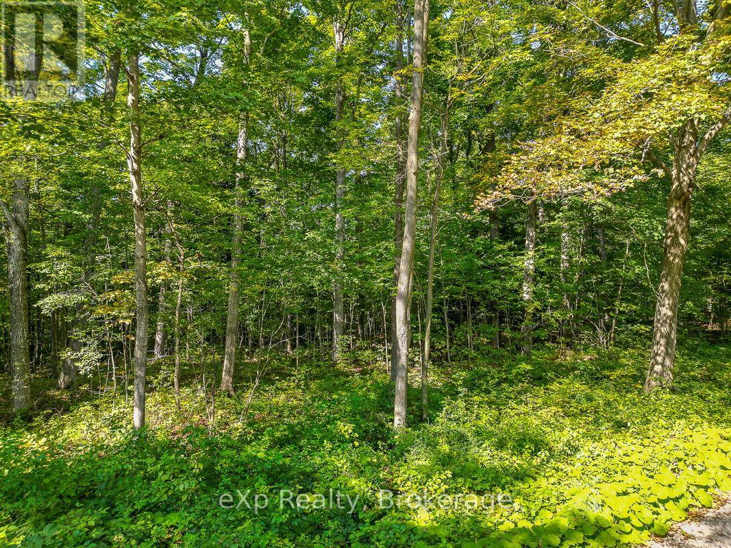 Ptlt 30 30th Sideroad Ndr, West Grey, Ontario  N0G 1S0 - Photo 11 - X12408662