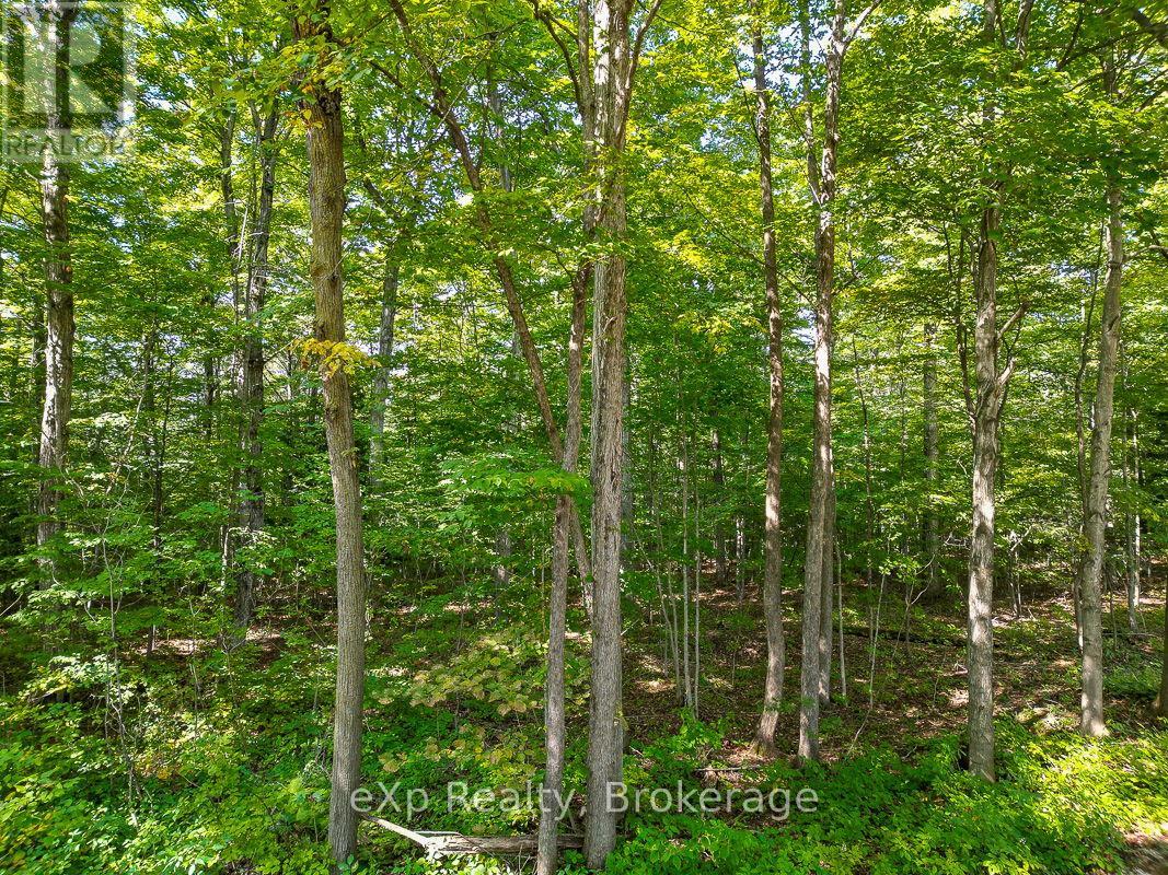 Ptlt 30 30th Sideroad Ndr, West Grey, Ontario  N0G 1S0 - Photo 12 - X12408662