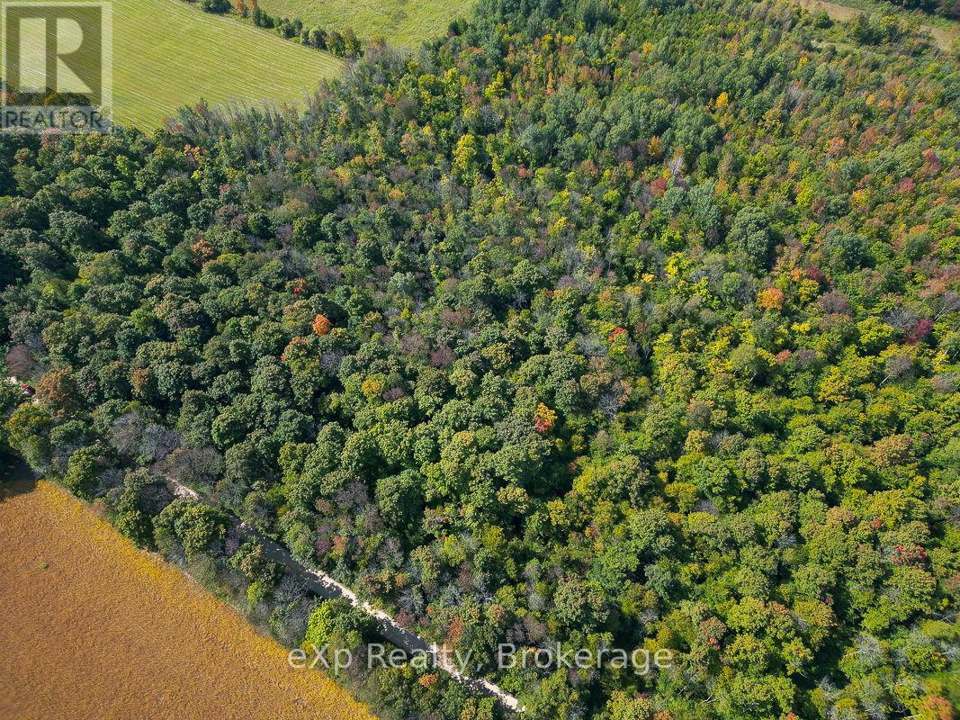 Ptlt 30 30th Sideroad Ndr, West Grey, Ontario  N0G 1S0 - Photo 7 - X12408662