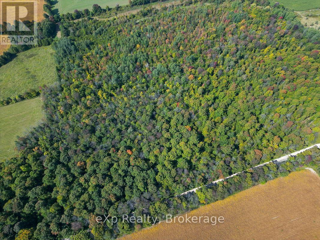 Ptlt 30 30th Sideroad Ndr, West Grey, Ontario  N0G 1S0 - Photo 8 - X12408662