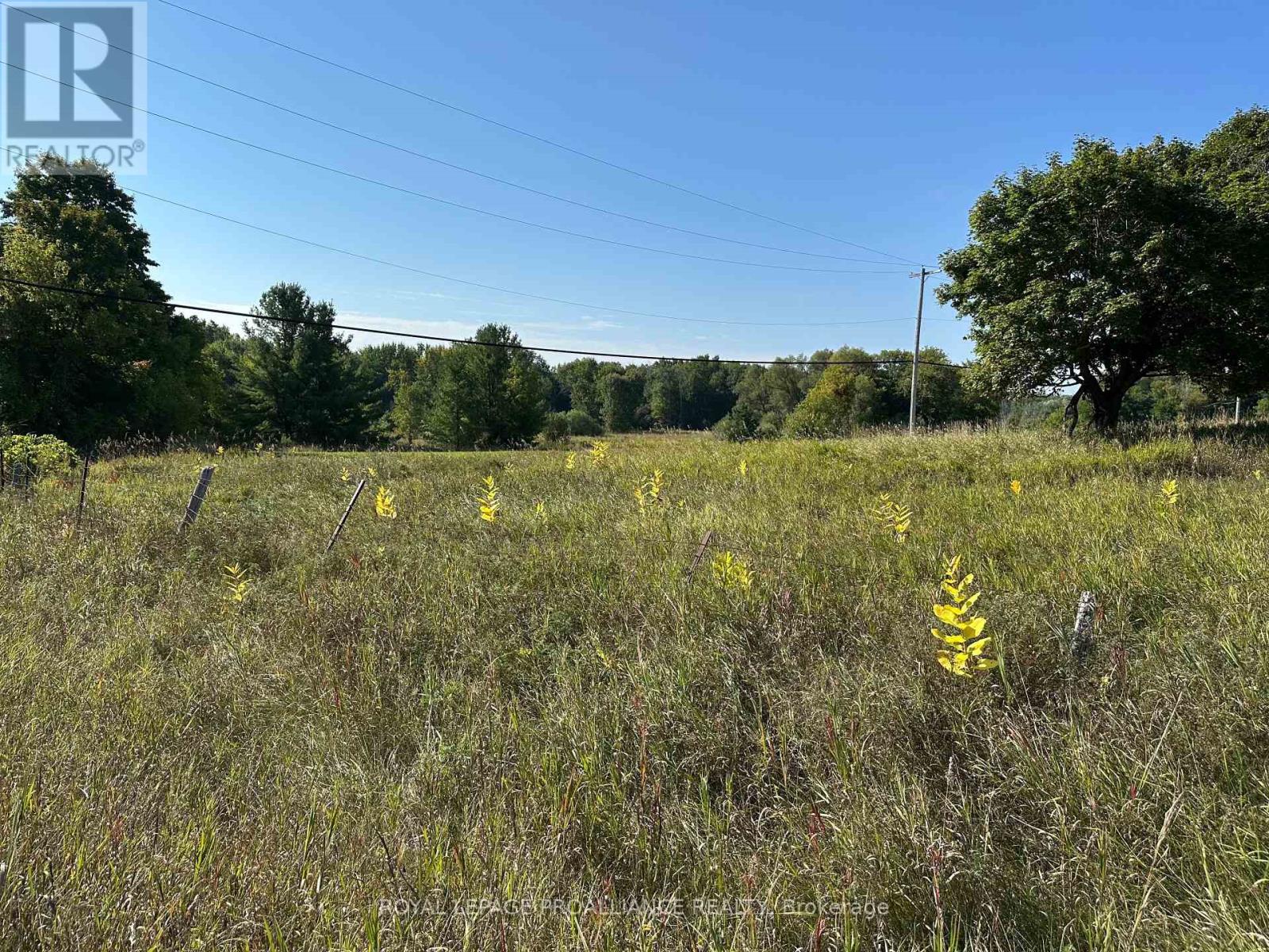 Pt Lt 17 - 0 Teal Road, Quinte West, Ontario  K0K 3M0 - Photo 6 - X12404122