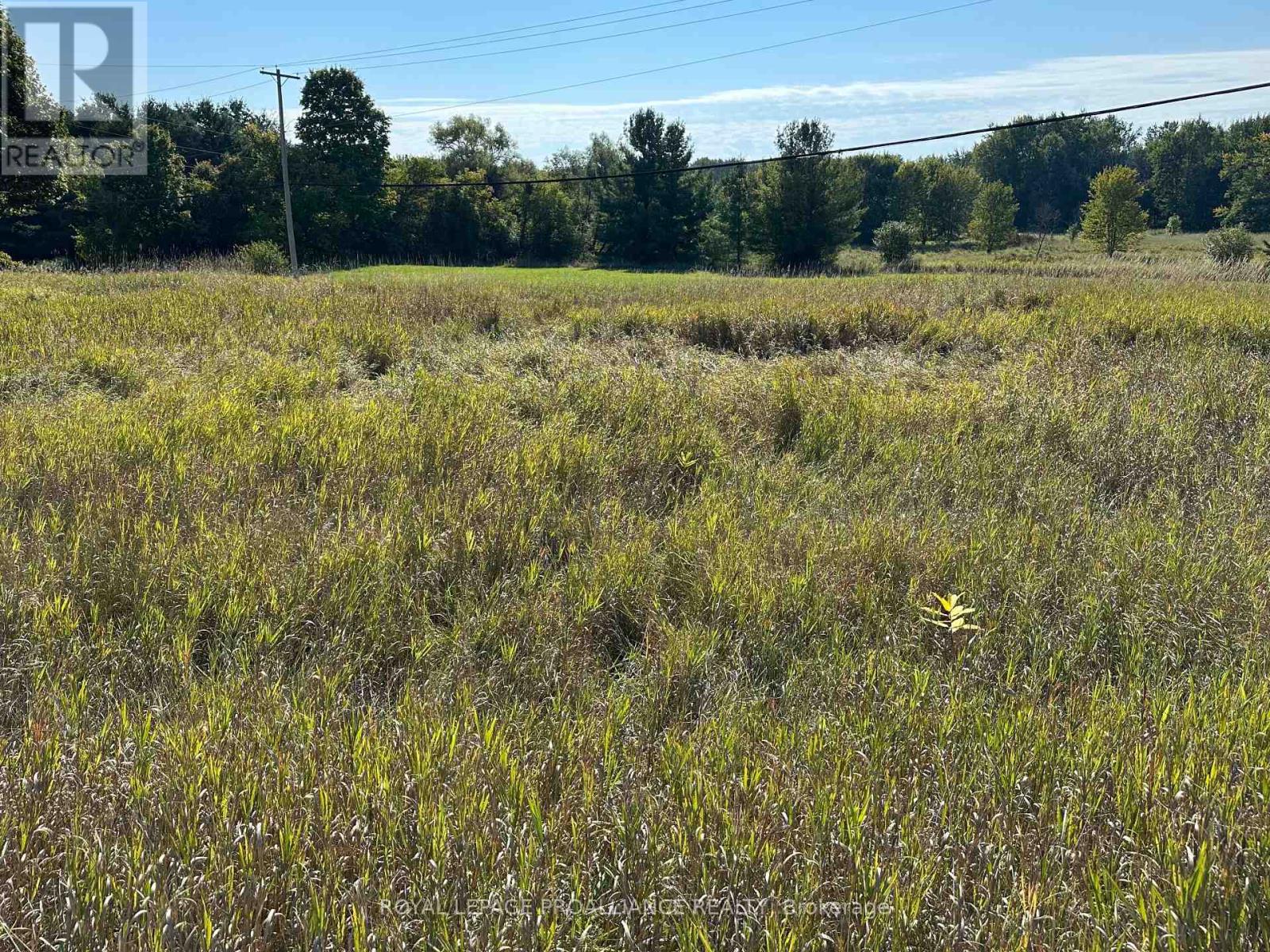 Pt Lt 17 - 0 Teal Road, Quinte West, Ontario  K0K 3M0 - Photo 4 - X12404122