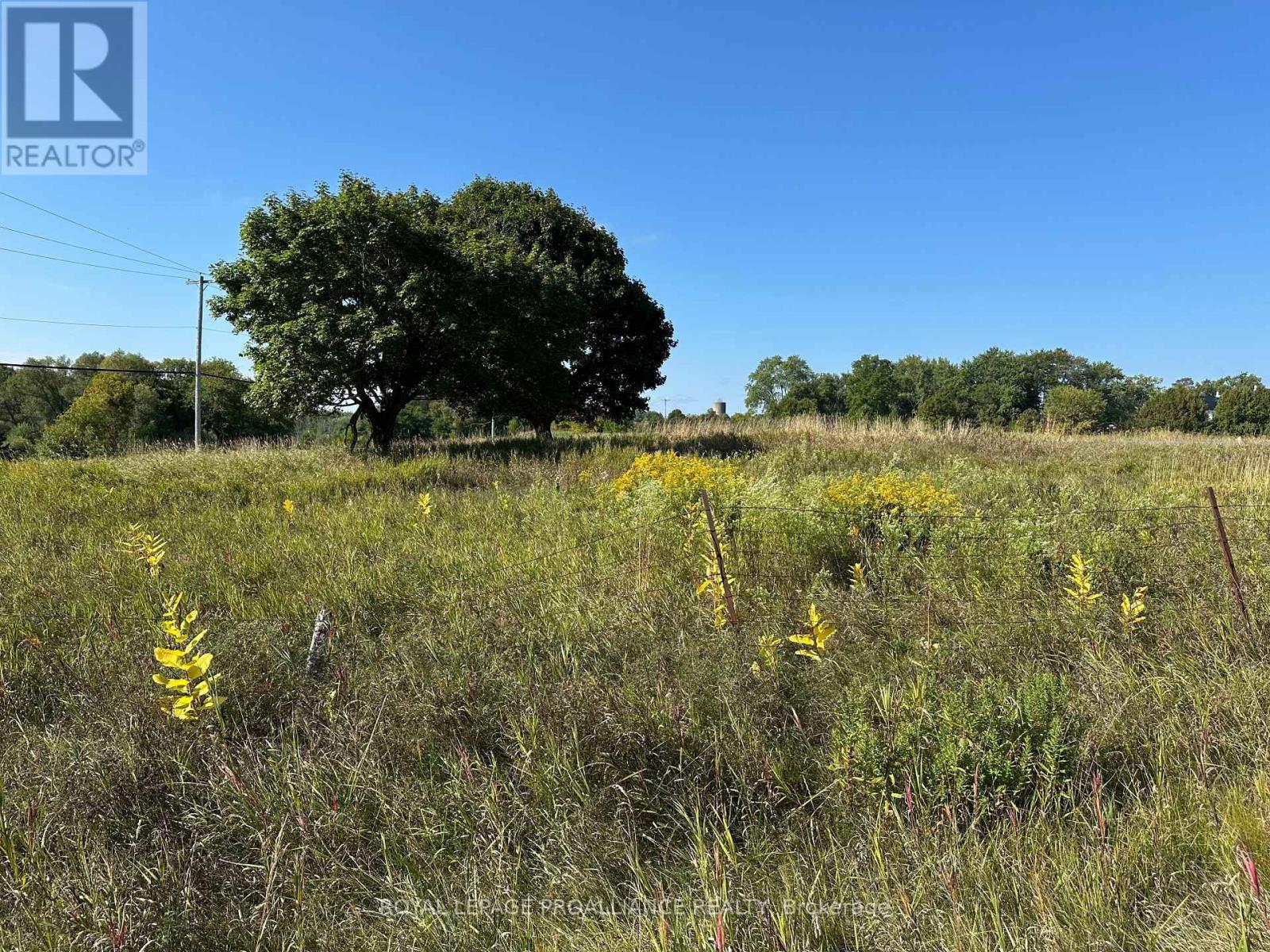 Pt Lt 17 - 0 Teal Road, Quinte West, Ontario  K0K 3M0 - Photo 5 - X12404122