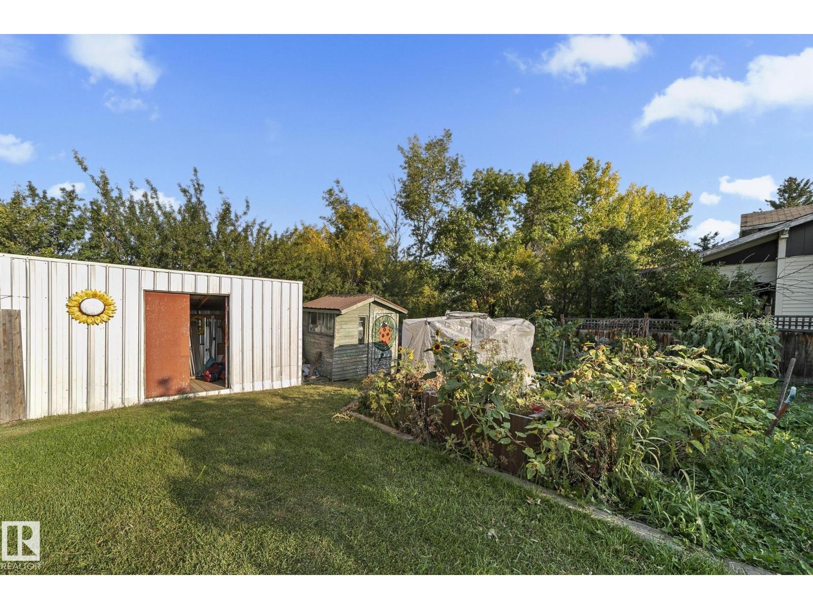 4803 50 (Mcleod Street) St, Lougheed, Alberta  T0B 2V0 - Photo 47 - E4458078