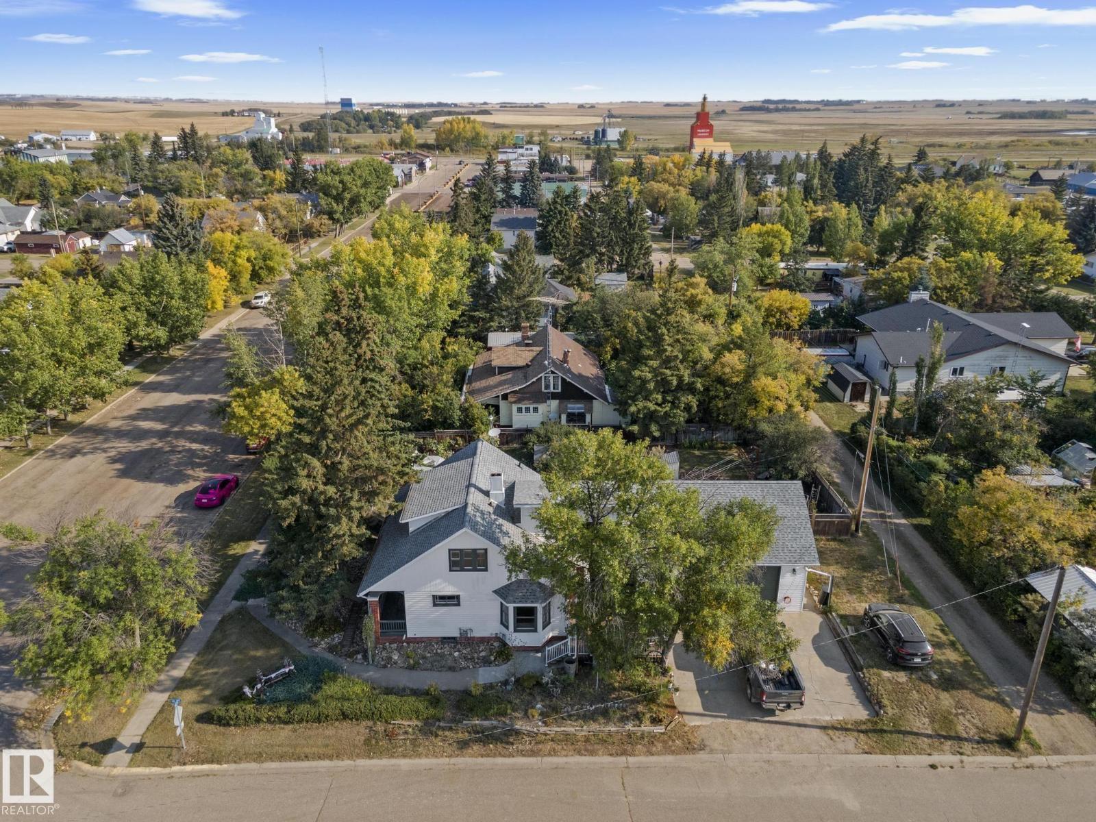 4803 50 (Mcleod Street) St, Lougheed, Alberta  T0B 2V0 - Photo 8 - E4458078