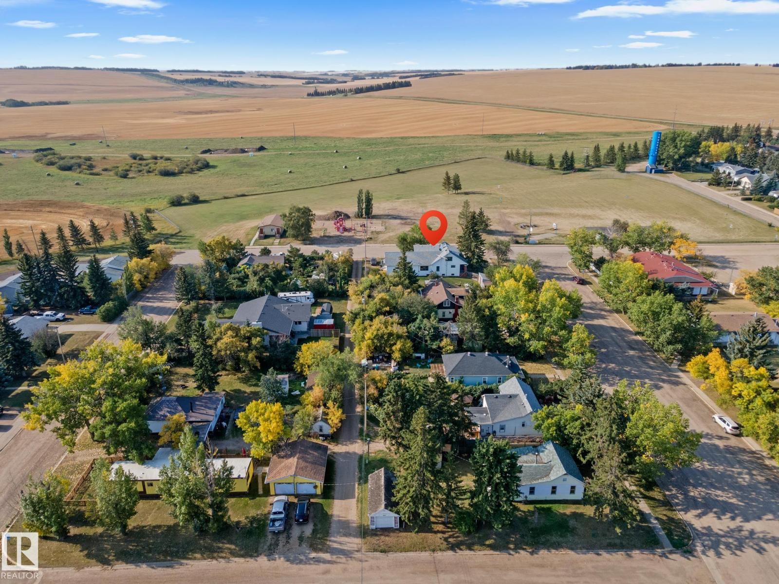 4803 50 (Mcleod Street) St, Lougheed, Alberta  T0B 2V0 - Photo 9 - E4458078