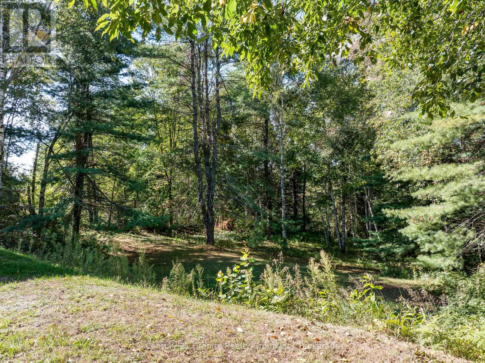 733 Bobcaygeon Road, Minden Hills, Ontario  K0M 2K0 - Photo 30 - X12408709