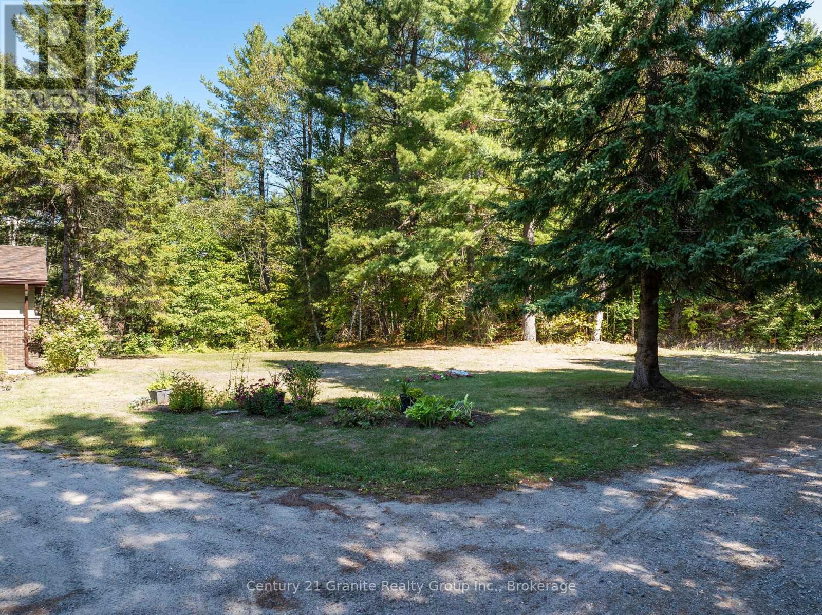 733 Bobcaygeon Road, Minden Hills, Ontario  K0M 2K0 - Photo 37 - X12408709