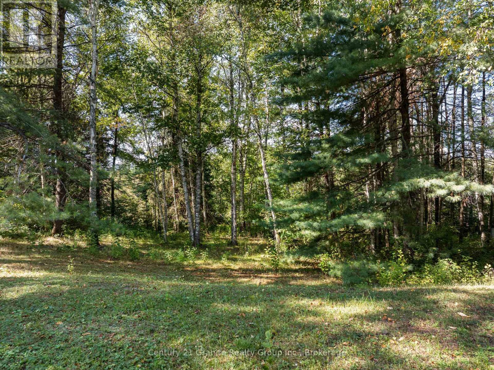 733 Bobcaygeon Road, Minden Hills, Ontario  K0M 2K0 - Photo 32 - X12408709