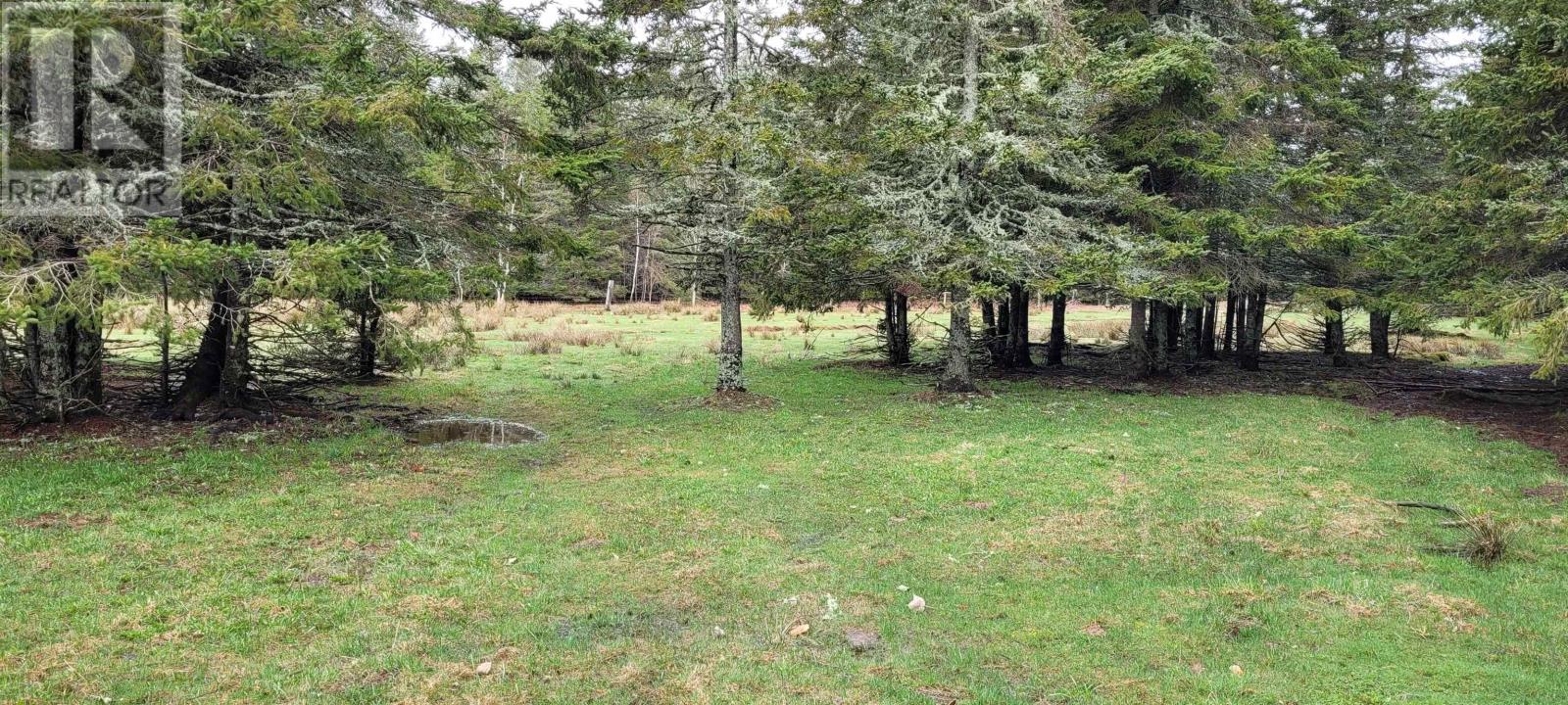 Acreage New Argyle Road, New Argyle, Prince Edward Island  C0A 1H7 - Photo 5 - 202522908