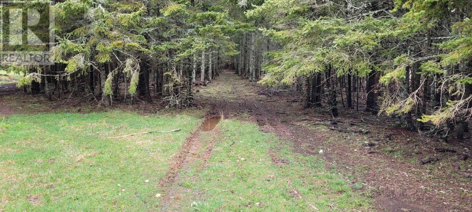 Acreage New Argyle Road, New Argyle, Prince Edward Island  C0A 1H7 - Photo 6 - 202522908