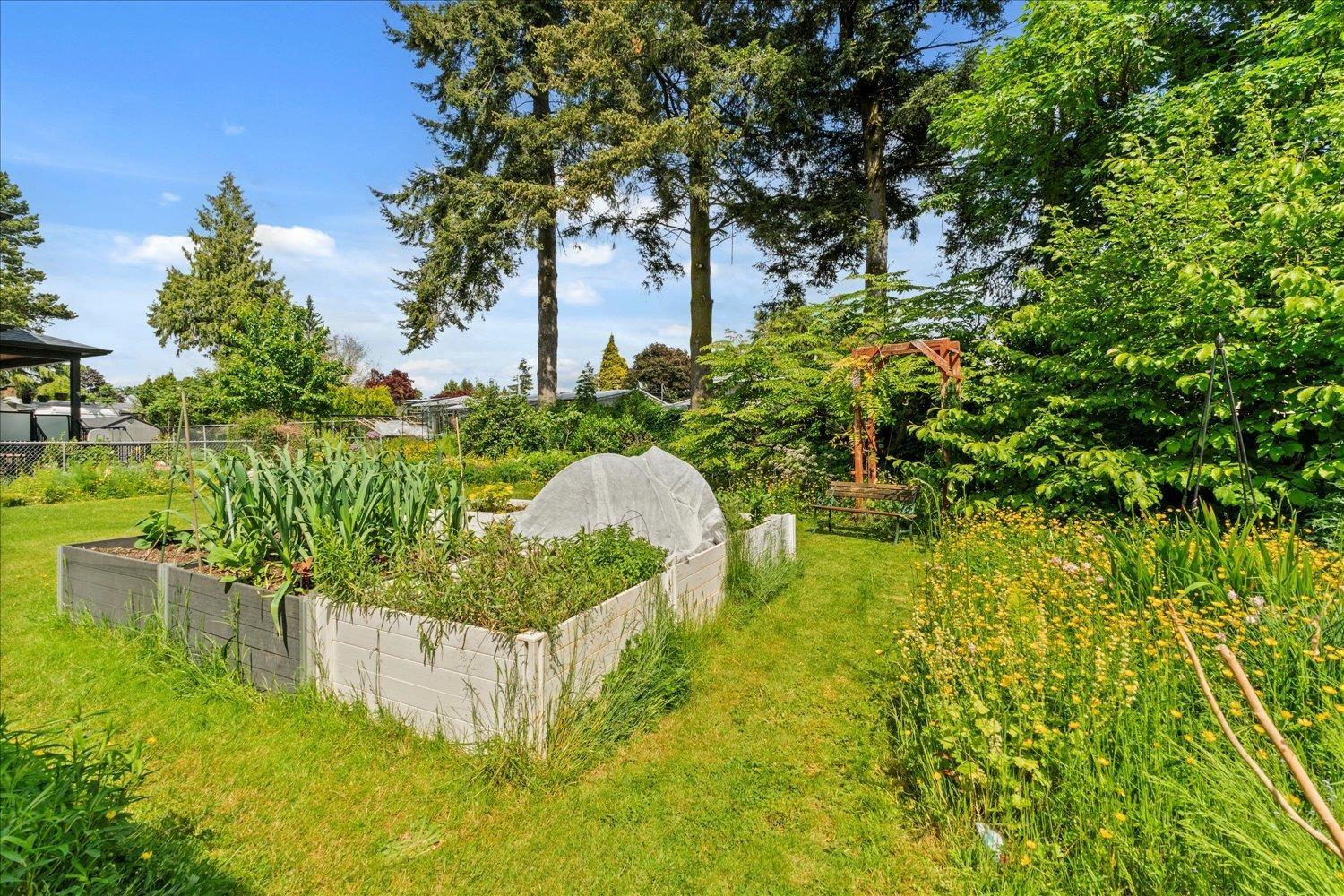 2512 James Street, Abbotsford, British Columbia  V2T 3L5 - Photo 34 - R3048373
