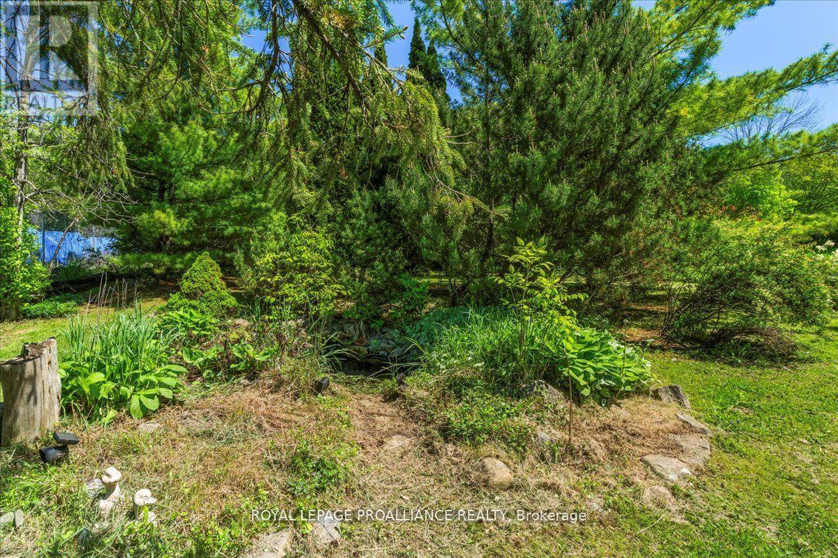 583 Moira Street, Tweed, Ontario  K0K 3J0 - Photo 35 - X12408907