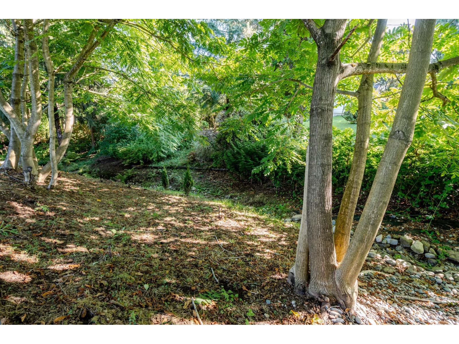 8528 Dunn Street, Mission, British Columbia  V2V 6V4 - Photo 27 - R3048445