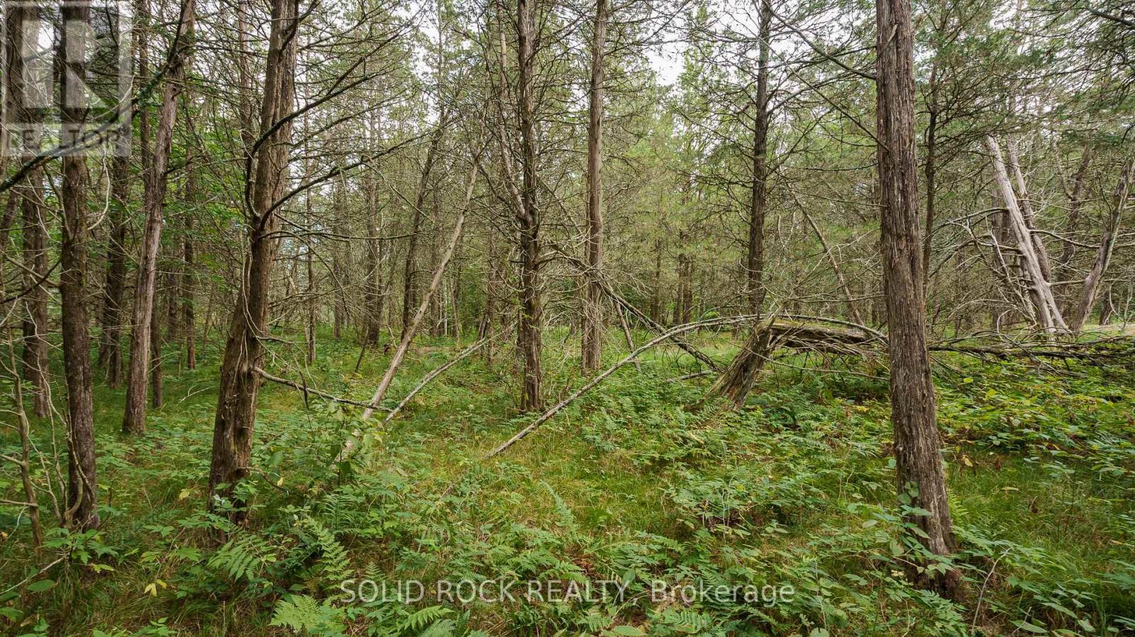 932 Burma Lane, Leeds And The Thousand Islands, Ontario  K0E 1L0 - Photo 11 - X12408984