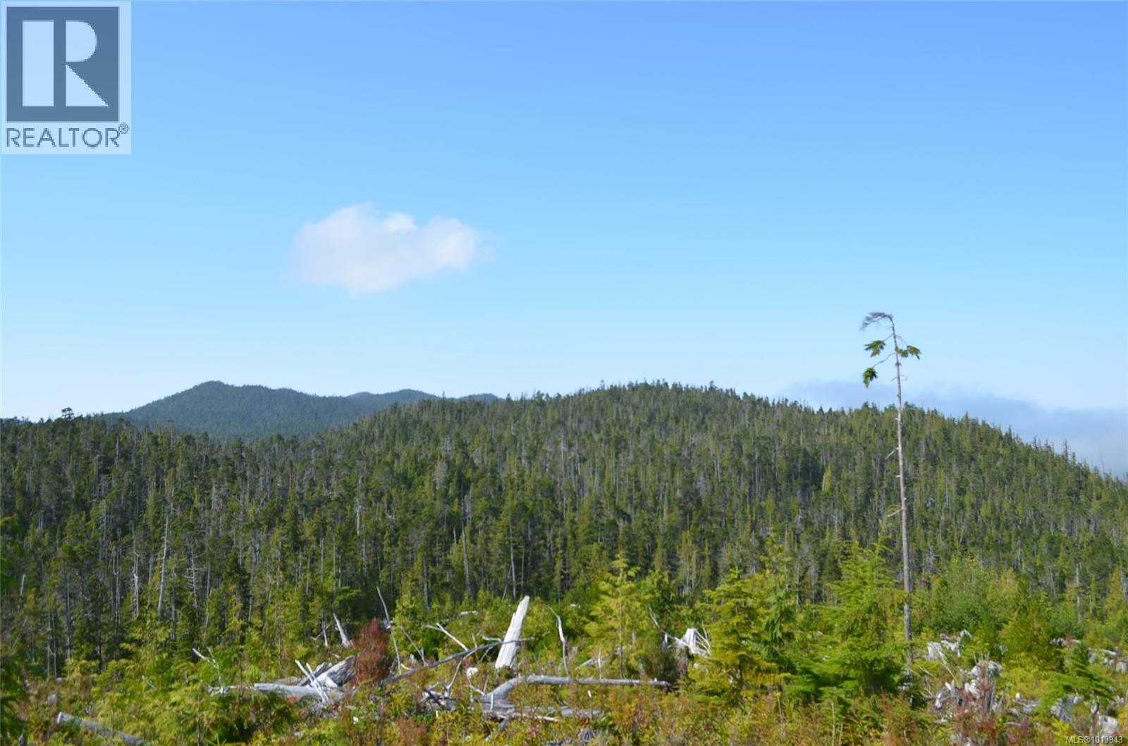 N/w 1/4 Shushartie Bay, Port Hardy, British Columbia  V0N 2P0 - Photo 10 - 1013943