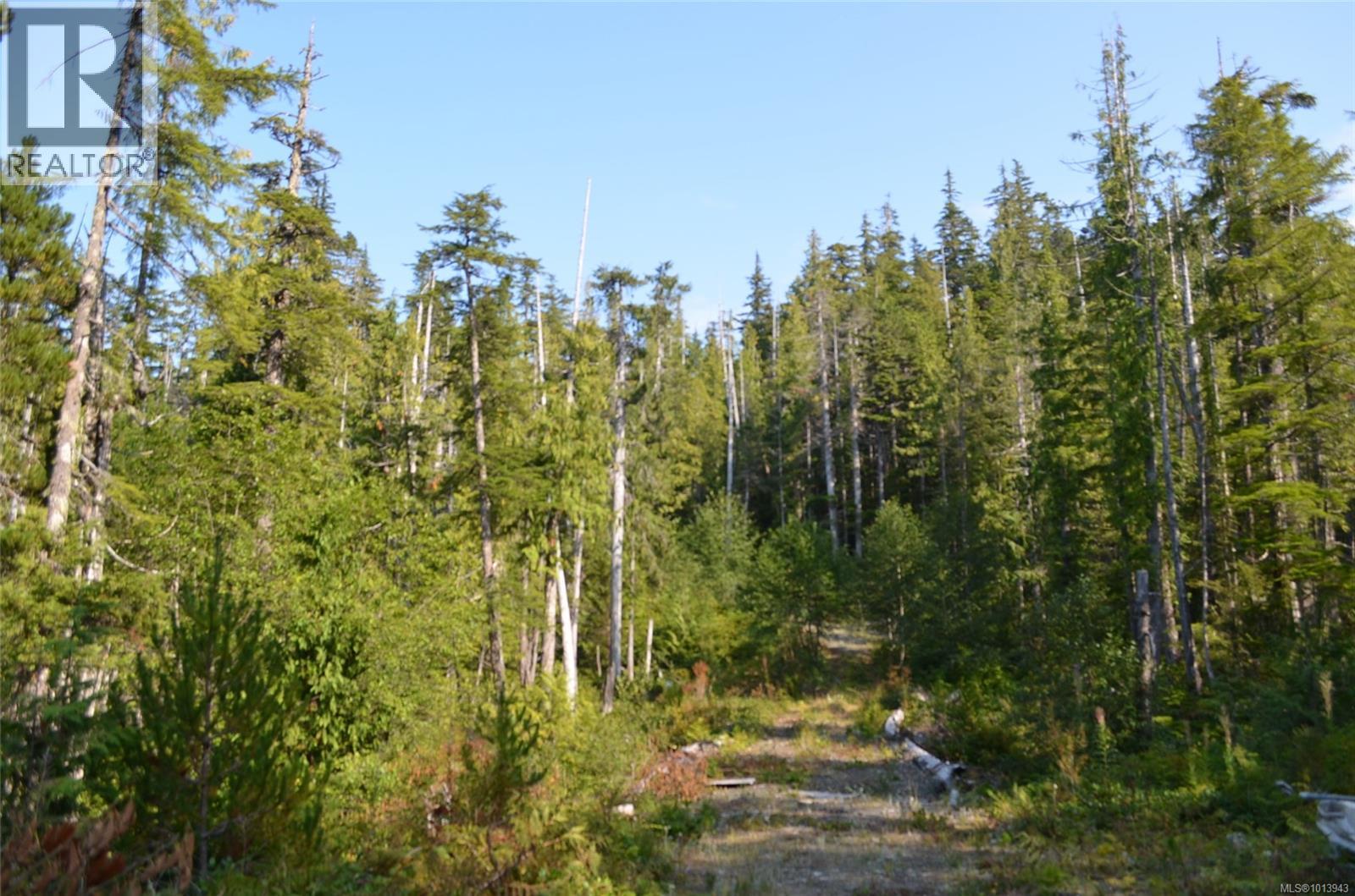 N/w 1/4 Shushartie Bay, Port Hardy, British Columbia  V0N 2P0 - Photo 12 - 1013943