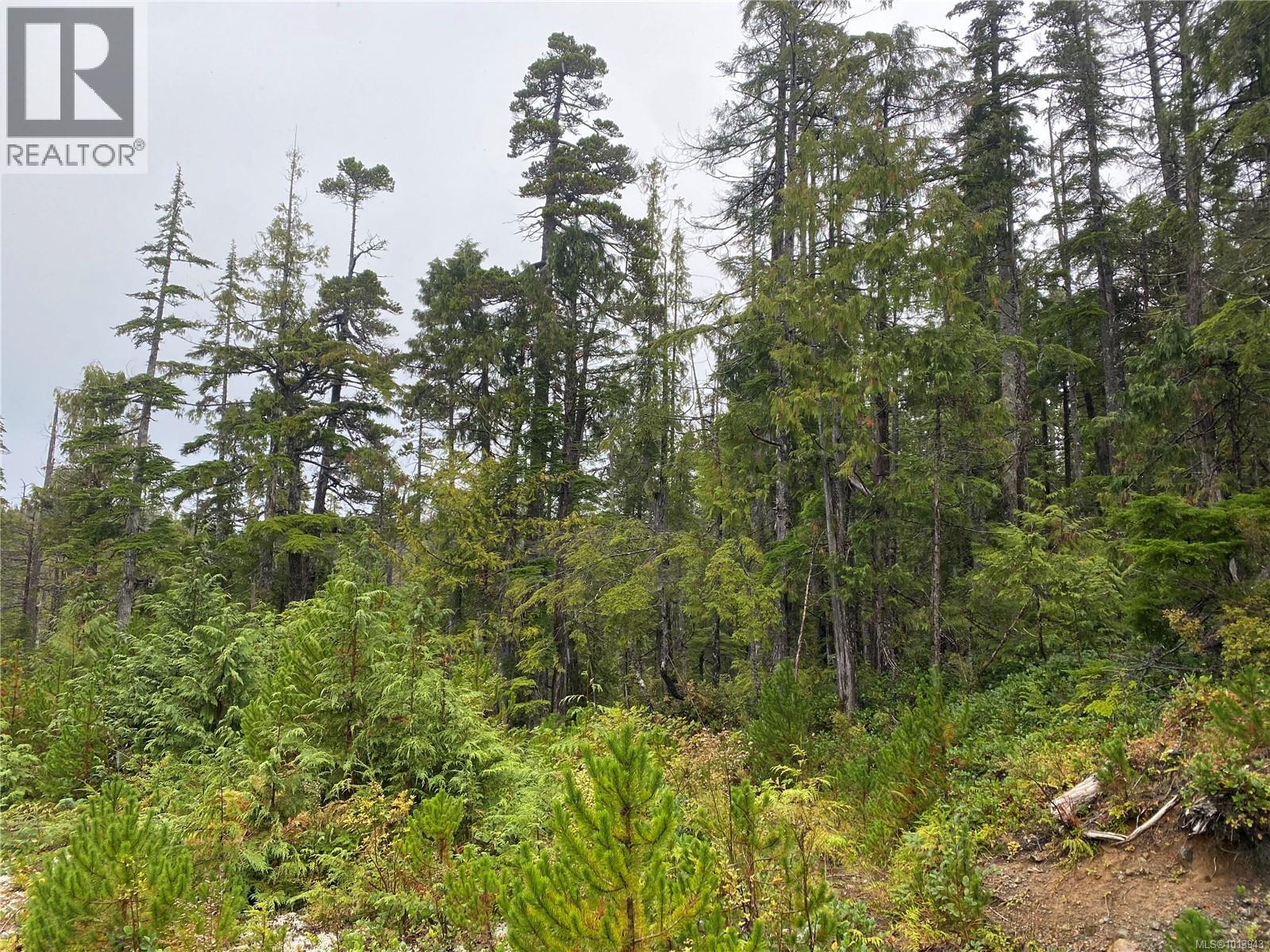 N/w 1/4 Shushartie Bay, Port Hardy, British Columbia  V0N 2P0 - Photo 14 - 1013943